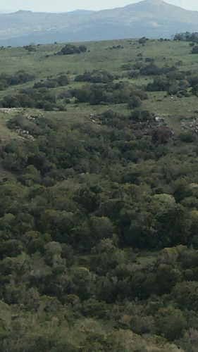 Campo Con Cerro En Ruta 60