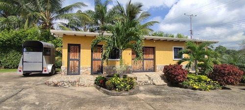 Imagen 11 de 12 de Yohandys Vende Casa Urb Safari Ranch Municipio Libertador Tocuyito Valencia