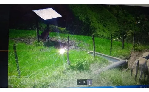 Finca En Vender En Dabeiba