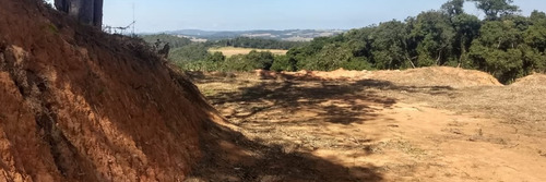 Terreno Com 1000 Metros Quadrados, Com Terraplanagem.