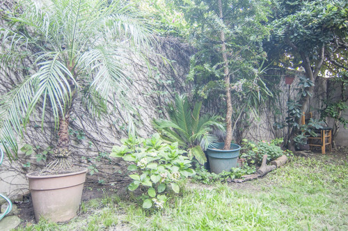 Ph Con Jardín En Olivos