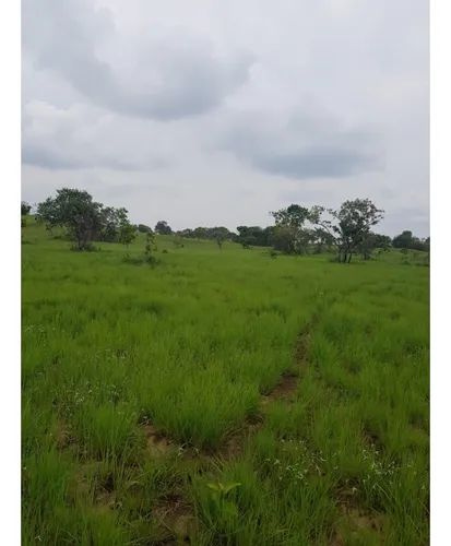 Excelente Finca En Venta, Puerto Lopez Meta