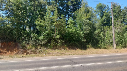 Parcela De 5000m2 A Orilla De La Ruta 206 Valdivia-paillaco