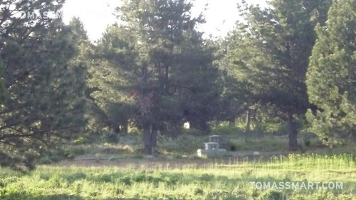Imagen 3 de 10 de Lote En Country Pinar Del Sol, Bariloche