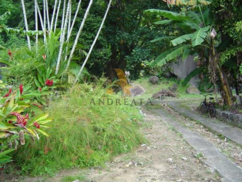 Imagem 10 de 10 de Sítio À Venda Na Estrada Do Pontal - Recreio Dos Bandeirantes - Sqa0073l - 31971642