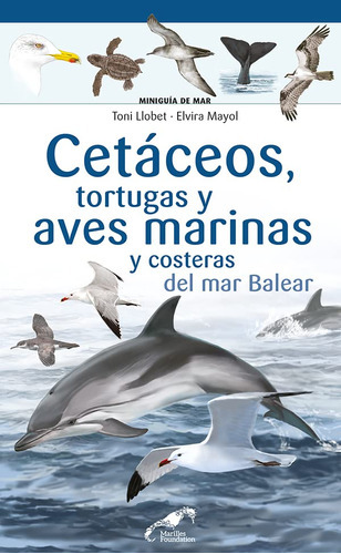 Cetáceos, Tortugas Y Aves Marinas Mar Balear -   - * 