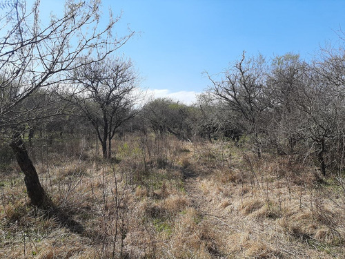 Imagen 2 de 15 de 18 Hectareas En Villa Paranacito Ideal Ganadero O Plantacion