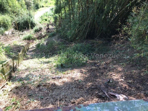 Terreno En Venta Monte Elena Es24-5378