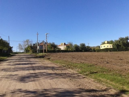 Imagen 3 de 7 de Lote | Las Higueras