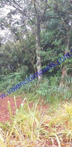 Imagem 8 de 12 de Venda - Chácara - Área Rural De Limeira - Limeira - Sp - 1437jur