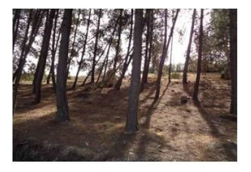 Imagen 19 de 20 de Parcela En Venta En Limache