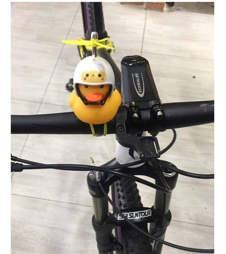 Pato Adorno De Bicicleta