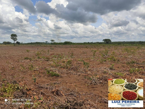 Imagem 9 de 15 de Fazenda Á Venda Em Cristalândia 503.36 Hectares (dupla Aptidão) - 1628