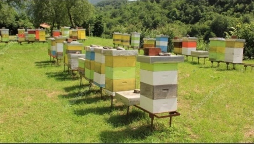 Miel Pura De Abeja 100%, Cubeta 5.4 Kilos / 4 Litros