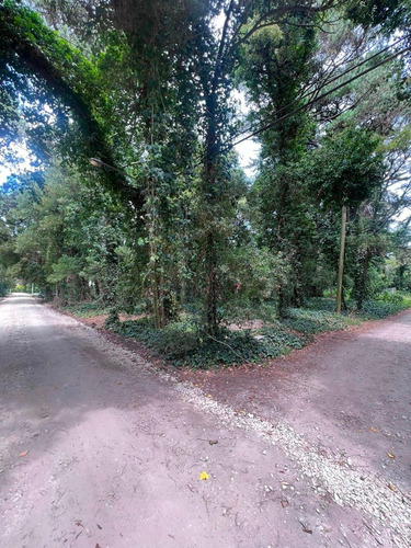 Imagen 6 de 11 de Vendo Lote 750 Mts Bosque P. Ramos Parquizado U$s 55.000.-