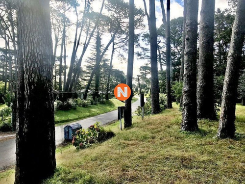 Imagen 8 de 12 de Venta De Terreno En Cantegril Punta Del Este - Punta Del Este Cantegril