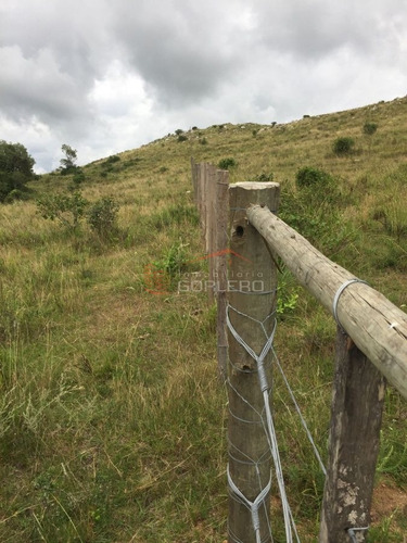 Imagen 2 de 14 de Venta De Chacra En Zona De Ruta 39 A 70 Km De Punta Del Este