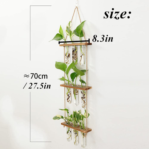 Maceta Colgante De Pared Soporte Madera Mini Tubo Ensayo Mmg