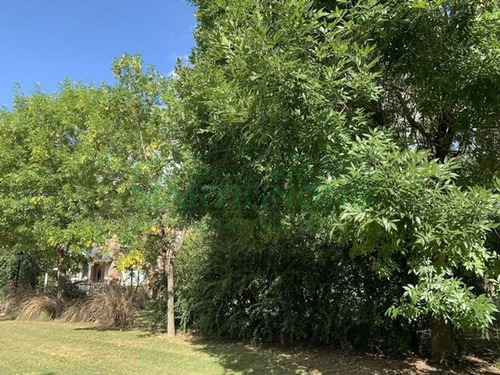 Imagen 7 de 10 de Terreno Venta Club De Campo San Francisco Manzanares Pilar