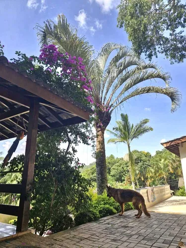 Casa De Alto Padrão Na Serra Da Cantareira