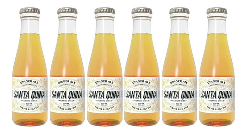 Santa Quina Ginger Ale Vidrio 200 Ml Pack X 6