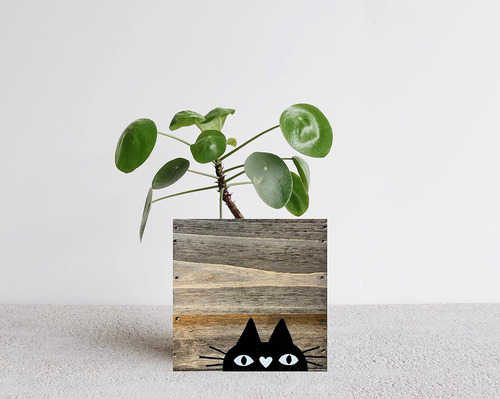 Macetero De Gato Negro, Macetero De Suculentas De Gato,...