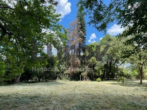 Imagem 9 de 10 de Terreno À Venda Em Vale Verde - Te006031