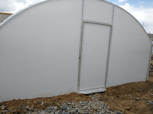 Invernadero Tipo Túnel De Traspatio 5 M X 6 M Pro-mini-t Blanco