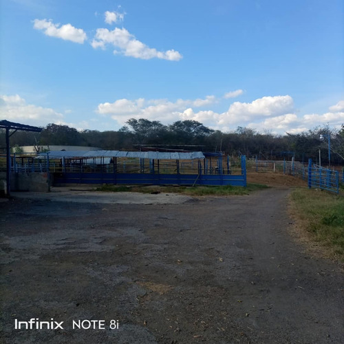 Imagen 13 de 14 de En Venta Finca Vía Altagracia De Orituco, Att Rc-ln