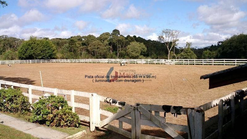 Imagem 15 de 22 de Chácara Com 4 Dormitórios, 21793 M² - Venda Por R$ 2.000.000,00 Ou Aluguel Por R$ 6.000,00/mês - Borda Do Campo - Piraquara/pr - Ch0005