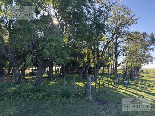 General Belgrano, Buenos Aires, A 3000 Metros De La Ruta Provincial 29
