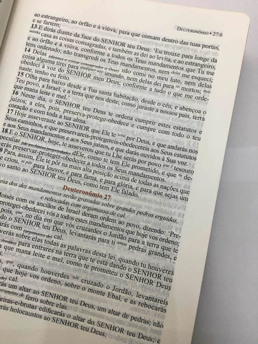 Bíblia Ltt Estudo Literal Do Texto Tradicional | Capa Dura
