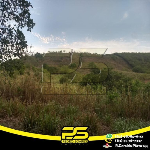 Chácara À Venda, 100000 M² Por R$ 700.000 - Zona Rural - Pirpirituba/pb - Ch0005