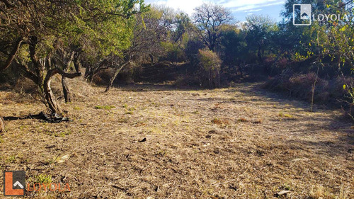 Lote Con Una Ubicacion Inmejorable Estacion Villa Elena