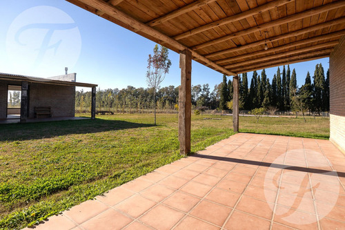 Venta De Chacra En San Pedro - Casa De 430 M2 - Gobernador Castro - Pecan Y Arboleda