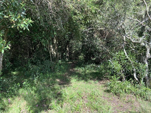 10 Has De Campo Sobre Ruta 13 A Minutos De Aiguá. Un Lugar De Descanso Ideal!