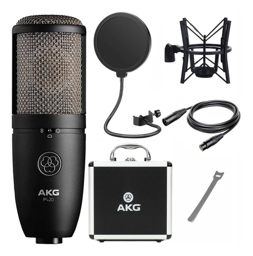 Combo Akg P420 Micrófono Estudio Filtro Antipop Cable Xlr 6m