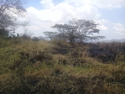 Finca 58 Hectareass, 90% Plana , Agua, Electricidad , Documentos En Bejuma Carabobo 2