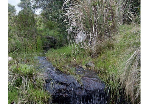 Chacra 5 Ha, Paraje Del Penitente, Minas.