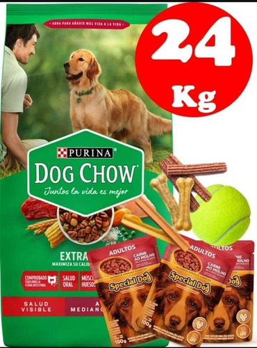 Dog Chow Adulto 21kg +3kg+ Biscrock