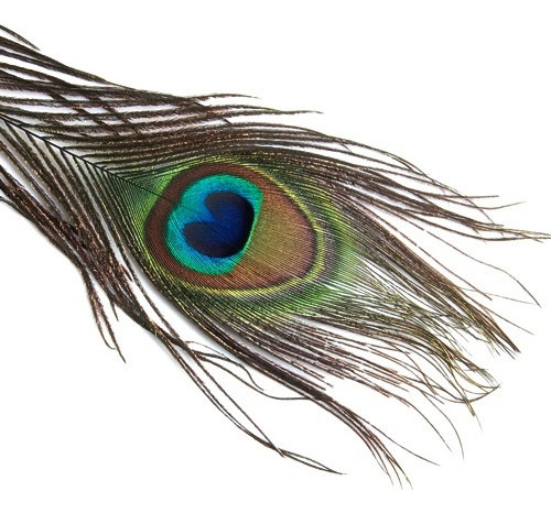. 20 Piezas Plumas De Cola De Ojo De Pavo Real For Máscara