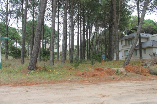 Imagen 2 de 3 de Lote En Venta - Zona Penelope / Ref: 1526