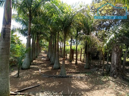 Imagem 5 de 23 de Chácaras À Venda Em Atibaia/sp - Compre O Seu Chácaras Aqui! - 1447551