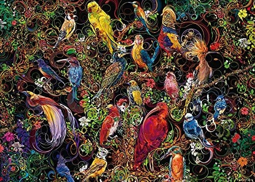 Puzzle De Aves De Arte Ravensburger 1000 Piezas Adultos