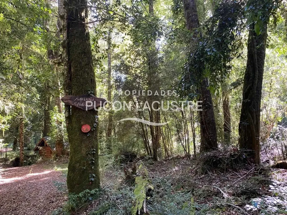 Imagen 4 de 26 de En Venta Casa En Parcela Reserva Huilo Huilo (169287)
