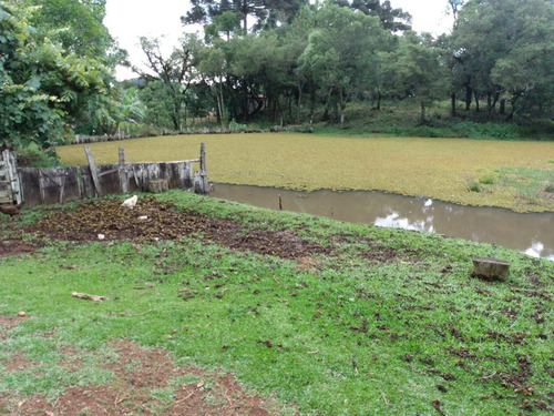 Imagem 2 de 14 de Casa Madeira 9 Comodos 1 Banheiro, 3 Paiois, 4 Tanques Peixe