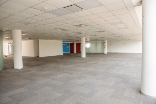 Imagen 11 de 30 de Oficinas En Alquiler Planta Libre, Vicente Lopez