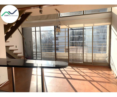 Arriendo Amplio Depto Loft En Providencia (100681)