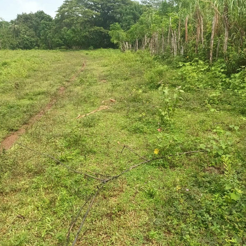 Vendo Finca En Bayaguana