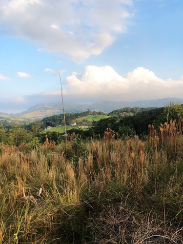 Imagem 8 de 30 de Sb- Lote A Venda